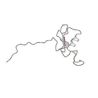 34473_8h3q_E_v1-1
Cryo-EM Structure of the CAND1-Cul3-Rbx1 complex