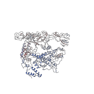 34475_8h3v_B_v1-1
Cryo-EM structure of the full transcription activation complex NtcA-NtcB-TAC