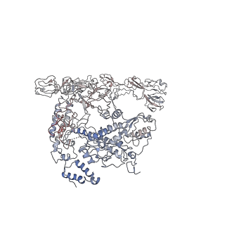 34475_8h3v_B_v1-2
Cryo-EM structure of the full transcription activation complex NtcA-NtcB-TAC