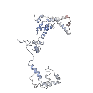 34475_8h3v_G_v1-1
Cryo-EM structure of the full transcription activation complex NtcA-NtcB-TAC