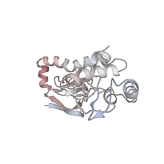 34475_8h3v_Y_v1-2
Cryo-EM structure of the full transcription activation complex NtcA-NtcB-TAC