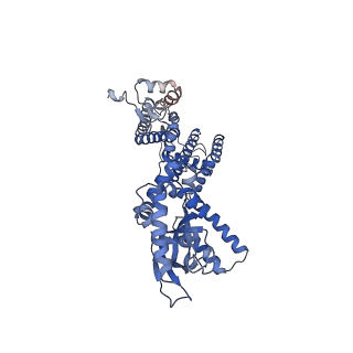6656_5h3o_A_v1-4
Structure of a eukaryotic cyclic nucleotide-gated channel