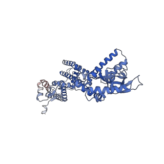 6656_5h3o_B_v1-4
Structure of a eukaryotic cyclic nucleotide-gated channel