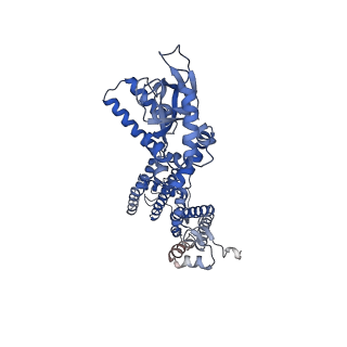 6656_5h3o_C_v1-4
Structure of a eukaryotic cyclic nucleotide-gated channel