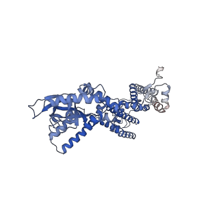 6656_5h3o_D_v1-4
Structure of a eukaryotic cyclic nucleotide-gated channel