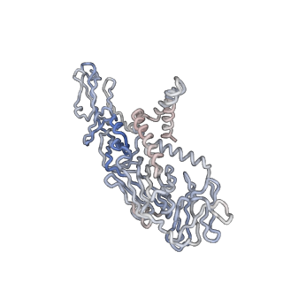 9573_5h30_A_v1-3
Cryo-EM structure of zika virus complexed with Fab C10 at pH 6.5