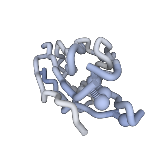9573_5h30_H_v1-3
Cryo-EM structure of zika virus complexed with Fab C10 at pH 6.5