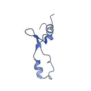 0137_6h4n_3_v1-3
Structure of a hibernating 100S ribosome reveals an inactive conformation of the ribosomal protein S1 - 70S Hibernating E. coli Ribosome