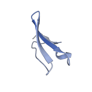 0137_6h4n_4_v1-3
Structure of a hibernating 100S ribosome reveals an inactive conformation of the ribosomal protein S1 - 70S Hibernating E. coli Ribosome