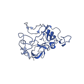 0137_6h4n_C_v1-3
Structure of a hibernating 100S ribosome reveals an inactive conformation of the ribosomal protein S1 - 70S Hibernating E. coli Ribosome