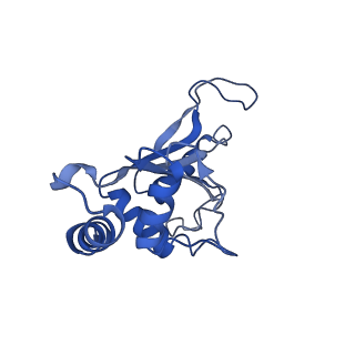 0137_6h4n_F_v1-3
Structure of a hibernating 100S ribosome reveals an inactive conformation of the ribosomal protein S1 - 70S Hibernating E. coli Ribosome