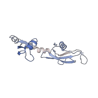 0137_6h4n_H_v1-3
Structure of a hibernating 100S ribosome reveals an inactive conformation of the ribosomal protein S1 - 70S Hibernating E. coli Ribosome
