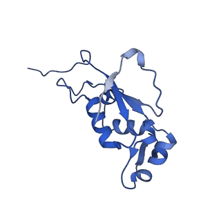 0137_6h4n_J_v1-3
Structure of a hibernating 100S ribosome reveals an inactive conformation of the ribosomal protein S1 - 70S Hibernating E. coli Ribosome