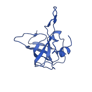 0137_6h4n_K_v1-3
Structure of a hibernating 100S ribosome reveals an inactive conformation of the ribosomal protein S1 - 70S Hibernating E. coli Ribosome