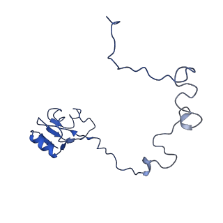 0137_6h4n_L_v1-3
Structure of a hibernating 100S ribosome reveals an inactive conformation of the ribosomal protein S1 - 70S Hibernating E. coli Ribosome