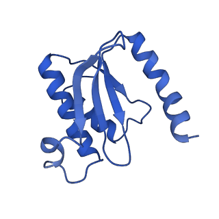 0137_6h4n_O_v1-3
Structure of a hibernating 100S ribosome reveals an inactive conformation of the ribosomal protein S1 - 70S Hibernating E. coli Ribosome