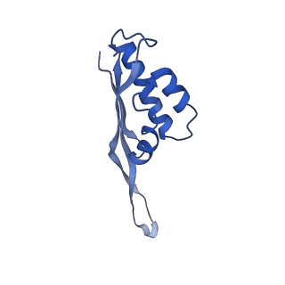 0137_6h4n_S_v1-3
Structure of a hibernating 100S ribosome reveals an inactive conformation of the ribosomal protein S1 - 70S Hibernating E. coli Ribosome