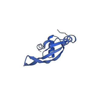 0137_6h4n_T_v1-3
Structure of a hibernating 100S ribosome reveals an inactive conformation of the ribosomal protein S1 - 70S Hibernating E. coli Ribosome