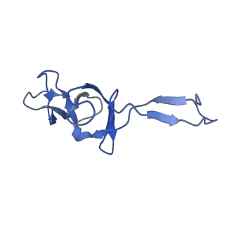 0137_6h4n_U_v1-3
Structure of a hibernating 100S ribosome reveals an inactive conformation of the ribosomal protein S1 - 70S Hibernating E. coli Ribosome