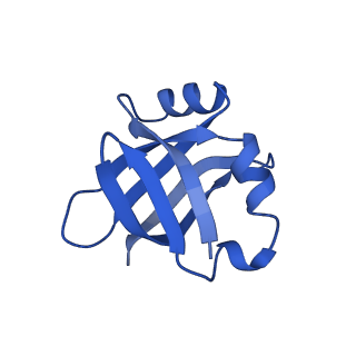 0137_6h4n_V_v1-3
Structure of a hibernating 100S ribosome reveals an inactive conformation of the ribosomal protein S1 - 70S Hibernating E. coli Ribosome
