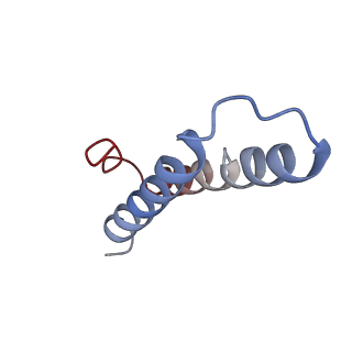 0137_6h4n_Y_v1-3
Structure of a hibernating 100S ribosome reveals an inactive conformation of the ribosomal protein S1 - 70S Hibernating E. coli Ribosome