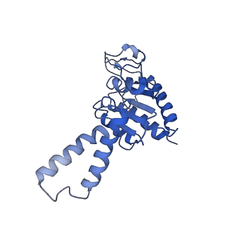 0137_6h4n_b_v1-3
Structure of a hibernating 100S ribosome reveals an inactive conformation of the ribosomal protein S1 - 70S Hibernating E. coli Ribosome