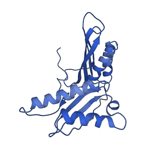 0137_6h4n_c_v1-3
Structure of a hibernating 100S ribosome reveals an inactive conformation of the ribosomal protein S1 - 70S Hibernating E. coli Ribosome