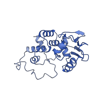 0137_6h4n_d_v1-3
Structure of a hibernating 100S ribosome reveals an inactive conformation of the ribosomal protein S1 - 70S Hibernating E. coli Ribosome