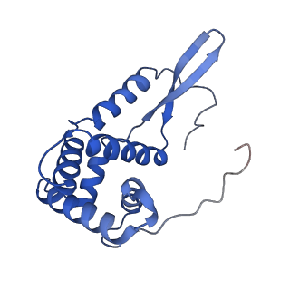 0137_6h4n_g_v1-3
Structure of a hibernating 100S ribosome reveals an inactive conformation of the ribosomal protein S1 - 70S Hibernating E. coli Ribosome