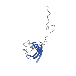 0137_6h4n_i_v1-3
Structure of a hibernating 100S ribosome reveals an inactive conformation of the ribosomal protein S1 - 70S Hibernating E. coli Ribosome