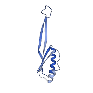 0137_6h4n_j_v1-3
Structure of a hibernating 100S ribosome reveals an inactive conformation of the ribosomal protein S1 - 70S Hibernating E. coli Ribosome