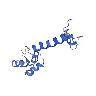 0137_6h4n_m_v1-3
Structure of a hibernating 100S ribosome reveals an inactive conformation of the ribosomal protein S1 - 70S Hibernating E. coli Ribosome