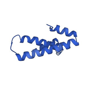 0137_6h4n_o_v1-3
Structure of a hibernating 100S ribosome reveals an inactive conformation of the ribosomal protein S1 - 70S Hibernating E. coli Ribosome