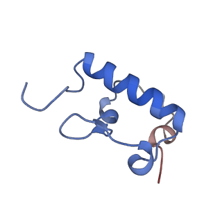 0137_6h4n_r_v1-3
Structure of a hibernating 100S ribosome reveals an inactive conformation of the ribosomal protein S1 - 70S Hibernating E. coli Ribosome