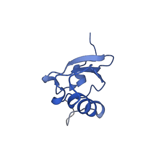 0137_6h4n_s_v1-3
Structure of a hibernating 100S ribosome reveals an inactive conformation of the ribosomal protein S1 - 70S Hibernating E. coli Ribosome