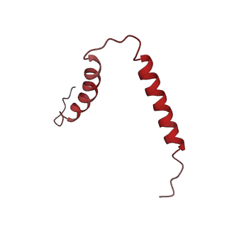 0137_6h4n_u_v1-3
Structure of a hibernating 100S ribosome reveals an inactive conformation of the ribosomal protein S1 - 70S Hibernating E. coli Ribosome