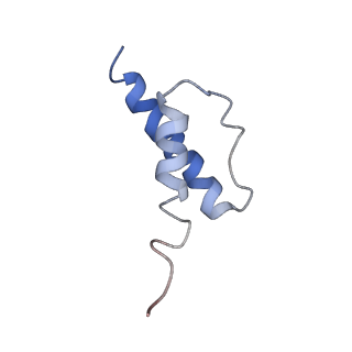 0137_6h4n_v_v1-3
Structure of a hibernating 100S ribosome reveals an inactive conformation of the ribosomal protein S1 - 70S Hibernating E. coli Ribosome
