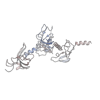 0137_6h4n_y_v1-3
Structure of a hibernating 100S ribosome reveals an inactive conformation of the ribosomal protein S1 - 70S Hibernating E. coli Ribosome