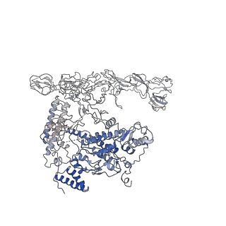 34476_8h40_B_v1-1
Cryo-EM structure of the transcription activation complex NtcA-TAC