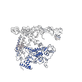 34476_8h40_B_v1-2
Cryo-EM structure of the transcription activation complex NtcA-TAC