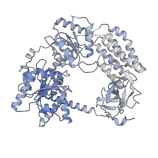 0143_6h61_A_v1-3
CryoEM structure of the MDA5-dsRNA filament with 89 degree twist and without nucleotide