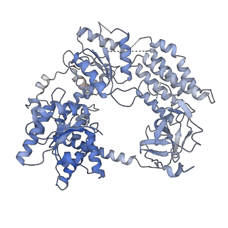 0145_6h66_A_v1-3
CryoEM structure of the MDA5-dsRNA filament with 93 degree twist and without nucleotide