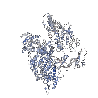 0146_6h67_A_v1-2
Yeast RNA polymerase I elongation complex stalled by cyclobutane pyrimidine dimer (CPD)