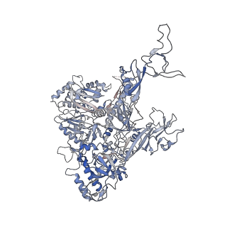 0146_6h67_B_v1-2
Yeast RNA polymerase I elongation complex stalled by cyclobutane pyrimidine dimer (CPD)