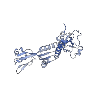 0146_6h67_C_v1-2
Yeast RNA polymerase I elongation complex stalled by cyclobutane pyrimidine dimer (CPD)