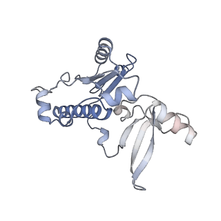 0146_6h67_E_v1-2
Yeast RNA polymerase I elongation complex stalled by cyclobutane pyrimidine dimer (CPD)