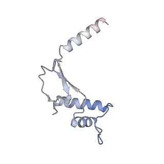 0146_6h67_F_v1-2
Yeast RNA polymerase I elongation complex stalled by cyclobutane pyrimidine dimer (CPD)