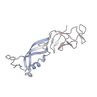 0146_6h67_G_v1-2
Yeast RNA polymerase I elongation complex stalled by cyclobutane pyrimidine dimer (CPD)