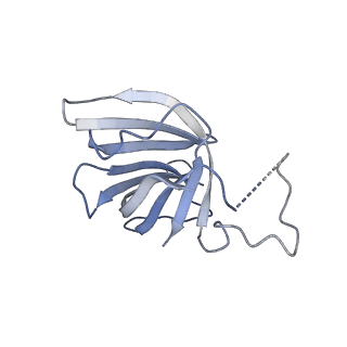 0146_6h67_H_v1-2
Yeast RNA polymerase I elongation complex stalled by cyclobutane pyrimidine dimer (CPD)