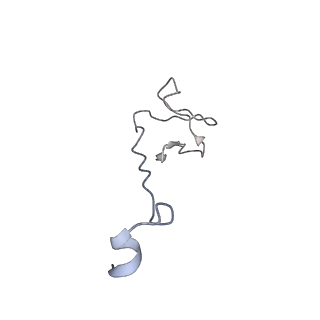 0146_6h67_I_v1-2
Yeast RNA polymerase I elongation complex stalled by cyclobutane pyrimidine dimer (CPD)